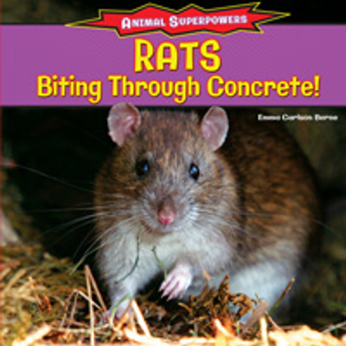 Rats: Biting Through Concrete! by Emma Carlson Berne, 9781477708453