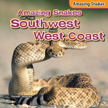 Amazing Snakes of the Southwest and West Coast by Parker Holmes, 9781477765036