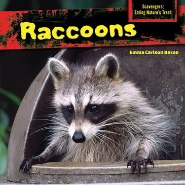 Raccoons - 9781477765982 by Emma Carlson Berne, 9781477765982