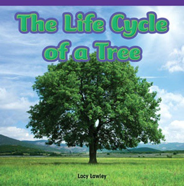The Life Cycle of a Tree by Lacy Lawley, 9781477725658
