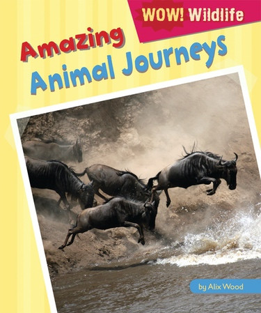 Amazing Animal Journeys - 9781448881635 by Alix Wood, 9781448881635