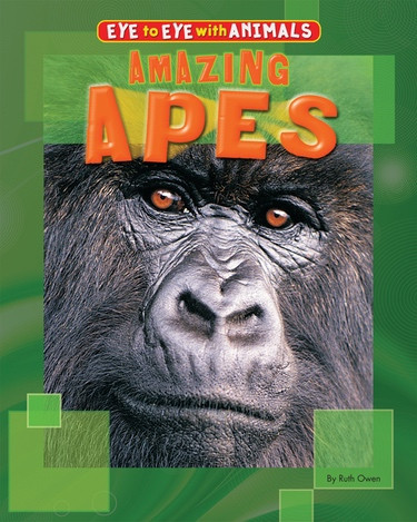 Amazing Apes by Ruth Owen, 9781448881031