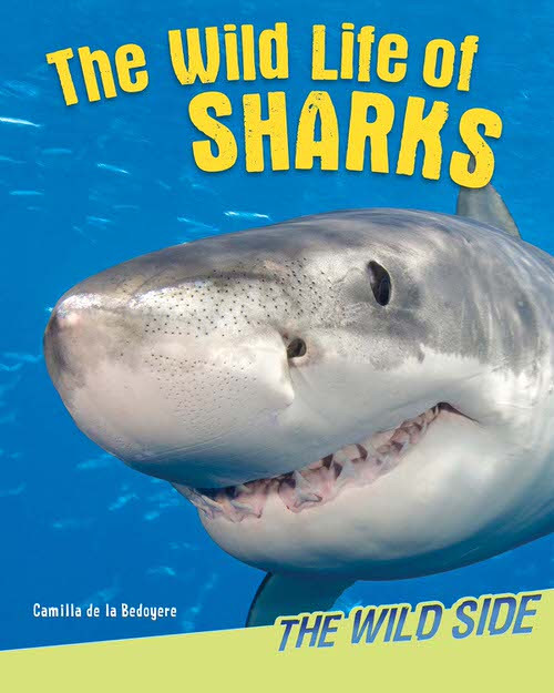The Wild Life of Sharks by Camilla De La Bédoyère, 9781477754993
