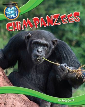 Chimpanzees - 9781615334179 by Ruth Owen, 9781615334179