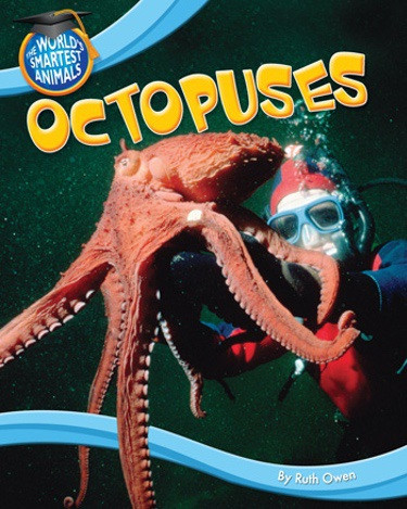 Octopuses - 9781615334124 by Ruth Owen, 9781615334124