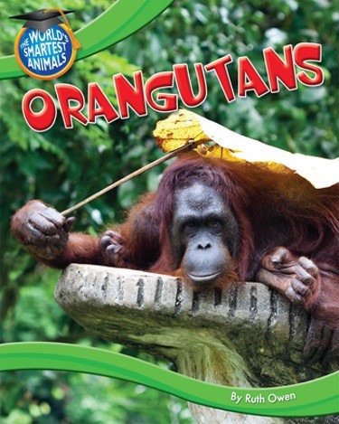 Orangutans by Ruth Owen, 9781615334193