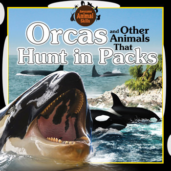 Orcas and Other Animals That Hunt in Packs by Jennifer Way, 9781477756539