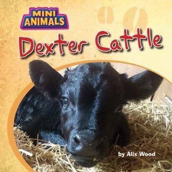 Dexter Cattle by Alix Wood, 9781499481525
