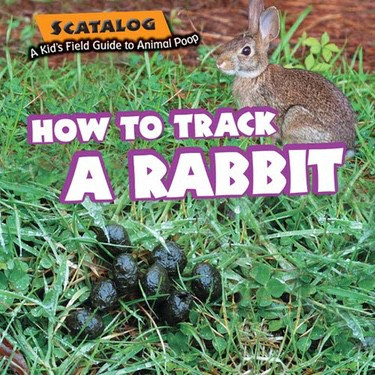 How to Track a Rabbit by Norman D. Graubart, 9781477754351