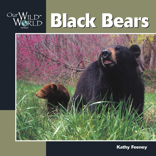 Black Bear - 9781559717427 by Kathy Feeney, 9781559717427