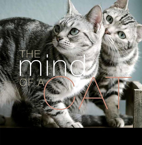 The Mind of a Cat by Liz Abeler Blaylock, 9781944833497