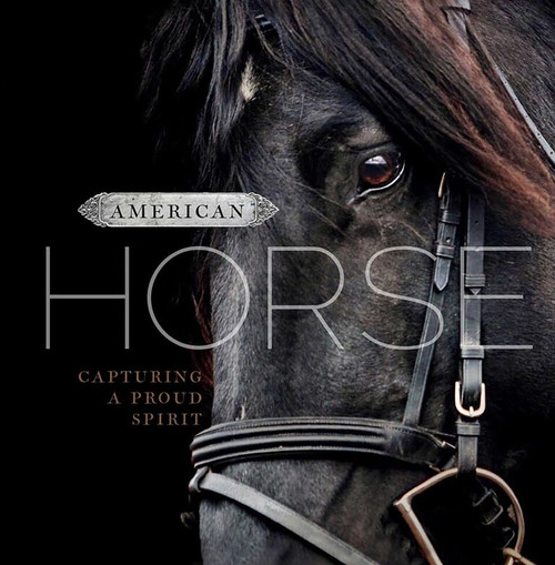 American Horse by D.A. Michaels, 9781944833473