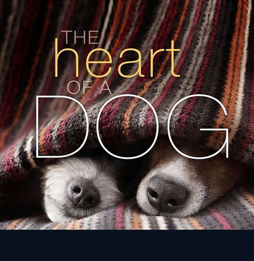 The Heart of a Dog - 9781944833480 by Liz Abeler Blaylock, 9781944833480