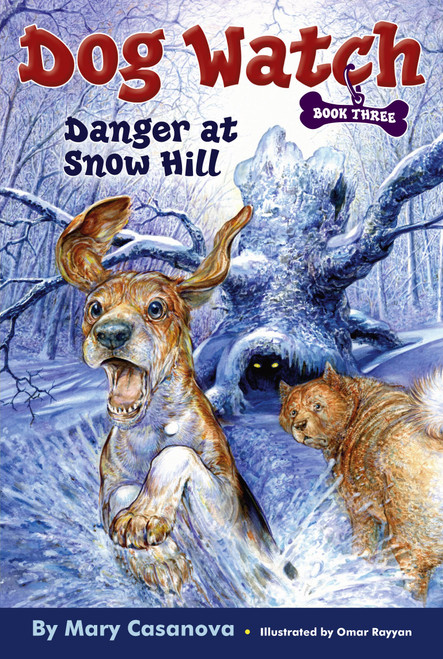 Danger at Snow Hill by Mary Casanova, Omar Rayyan, 9780689868122