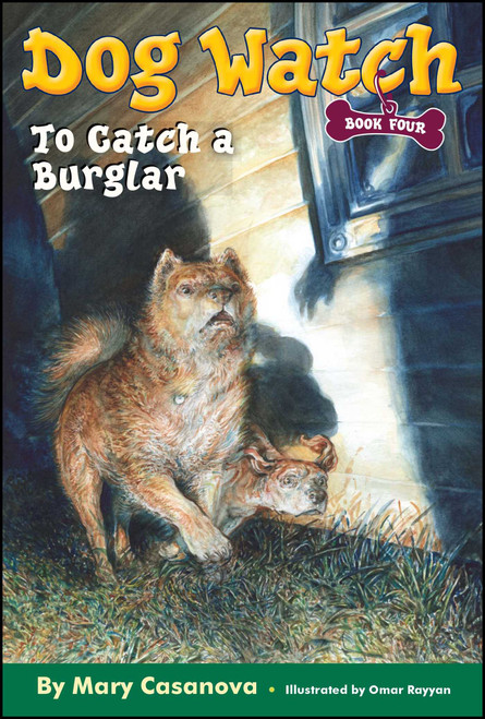 To Catch a Burglar by Mary Casanova, Omar Rayyan, 9780689868139
