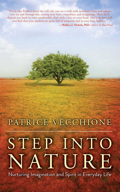 Step into Nature (Nurturing Imagination and Spirit in Everyday Life) by Patrice Vecchione, 9781582705002