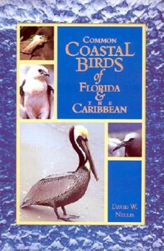 Common Coastal Birds of Florida & the Caribbean by David W Nellis, 9781561641963