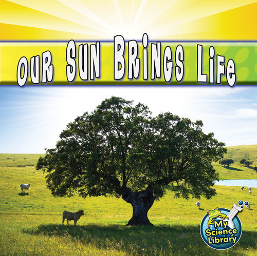 Our Sun Brings Life by Conrad  J. Storad, 9781617419256