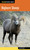 Bighorn Sheep - 9780762784912 by Jack Ballard