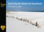 Gulf Islands National Seashore Pocket Guide by Randi Minetor, Nic Minetor, 9780762753093