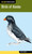Birds of Alaska by Todd Telander, 9780762779314