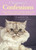 Cleopatra's Confessions (A Feline Guide to Coping with Dogs, Humans, and Other Pointless Interruptions to a Good Nap) by Cleopatra J. Cat, Larry Arnstein, Zack Arnstein, Joey Arnstein, 9781629147086