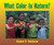 What Color is Nature? by Stephen R. Swinburne, 9781590780084