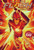The Flash: Hocus Pocus ((The Flash Book 1)) - 9781419736063 by Barry Lyga, 9781419736063
