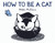 How to Be a Cat (A Board Book) - 9781419734991 by Nikki McClure, 9781419734991