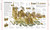 Stephen Biesty's Incredible Cross-Sections by Stephen Biesty, 9781465483898