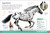 The Everything Book of Horses and Ponies by DK, 9781465480118