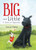 Big and Little (A Story of Opposites) by Cheryl Pilgrim, 9780823440214