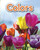 Colors - 9781433323331 by Stephanie Reid