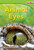 Animal Eyes - 9781433335785 by Dona Herweck Rice, 9781433335785 Animal Eyes - 9781433335785 by Dona Herweck Rice, 9781433335785
