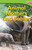 Animal Mothers and Babies by Dona Herweck Rice, 9781433335792