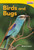 Birds and Bugs by Sharon Coan, 9781493820610