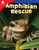 Amphibian Rescue by Vickie An, 9781493866779
