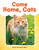 Come Home, Cats by Dona Herweck Rice, 9781493898725