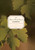 The Bryant Family Vineyard Cookbook (Recipes from Great Chefs and Friends) by Barbara Bryant, Betsy Fentress, 9780740769771