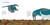 Seeds Move! by Robin Page, Robin Page, 9781534409156