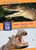 Most Dangerous by Joanne Mattern, 9781634406901