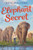 Elephant Secret - 9780358206378 by Eric Walters