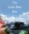 The Little Blue Kite by Mark Z. Danielewski, 9781524747695