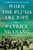 When the Plums Are Ripe (A Novel) by Patrice Nganang, Amy B. Reid, 9780374288990