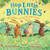 Hop Little Bunnies (A Lift-the-Flap Adventure) by Martha Mumford, Laura Hughes, 9781547602681