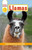 DK Readers Level 2: Llamas - 9781465481429 by DK, 9781465481429