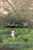 Follow Me (A Novel) by Joanna Scott, 9780316051682