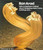 Ron Arad by Matthew Collings, Richard Davies, Nigel Shafran, Ron Arad Associates, 9780714843100