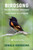 Birdsong For The Curious Naturalist (Your Guide to Listening) by Donald Kroodsma, 9781328919113
