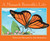 A Monarch Butterfly's Life (Nature Upclose) by John Himmelman, John Himmelman, 9780516265377